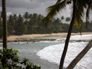 Пляж Мирисса(Mirissa beach)