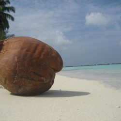 Мальдивские острова