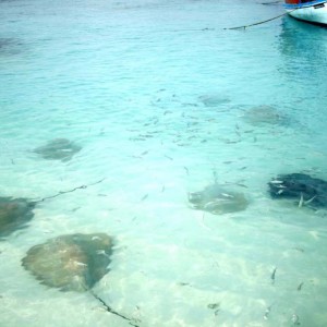 Мальдивские острова