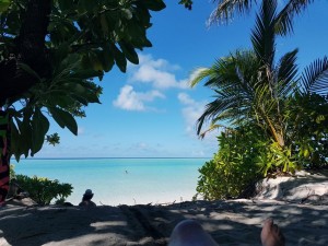 Бюджетные мальдивы 2, остров Thoddoo