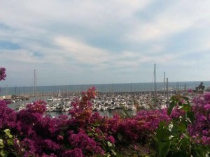 Гава, Испания