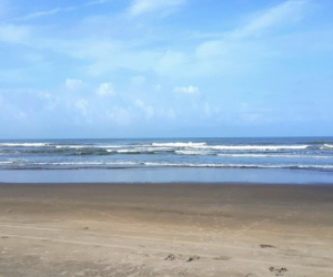 Гоа Мандрем