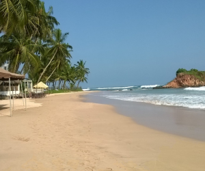 Мирисса Шри-Ланка