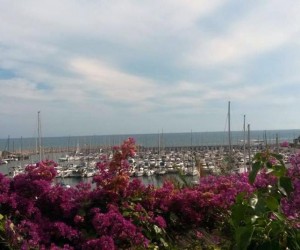 Гава, Испания