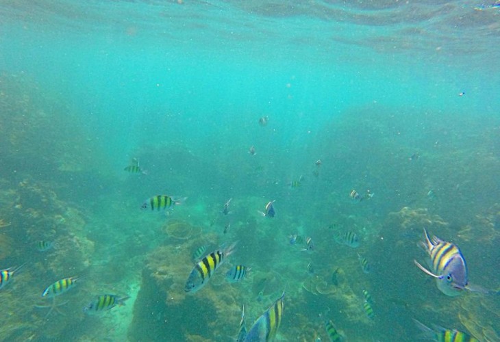 5 пляжей для занятия снорклингом на Пхукете